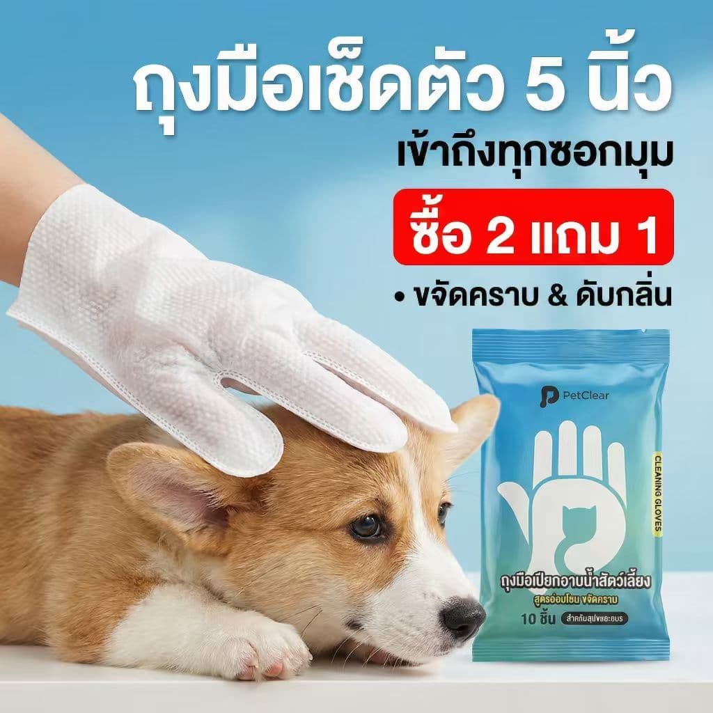 2 กล่อง แถมเพิ่มอีก 1 กล่องPetClear ถุงมืออาบน้ำแห้ง (10 ชิ้น) ผ้าเช็ดตัวแมว ทิชชู่เปียกหมา ดับกลิ่น
