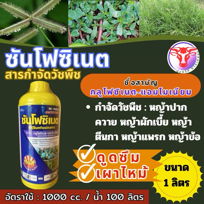 ✅ กลูโฟซิเนต ขนาด 1 ลิตร แอมโมเนียม 15% W/V SL ฆ่าหญ้าชนิดไม่เลือกทำลาย กำจัดได้ทั้งหญ้าใบแคบและหญ้าใบกว้าง เผาไหม้