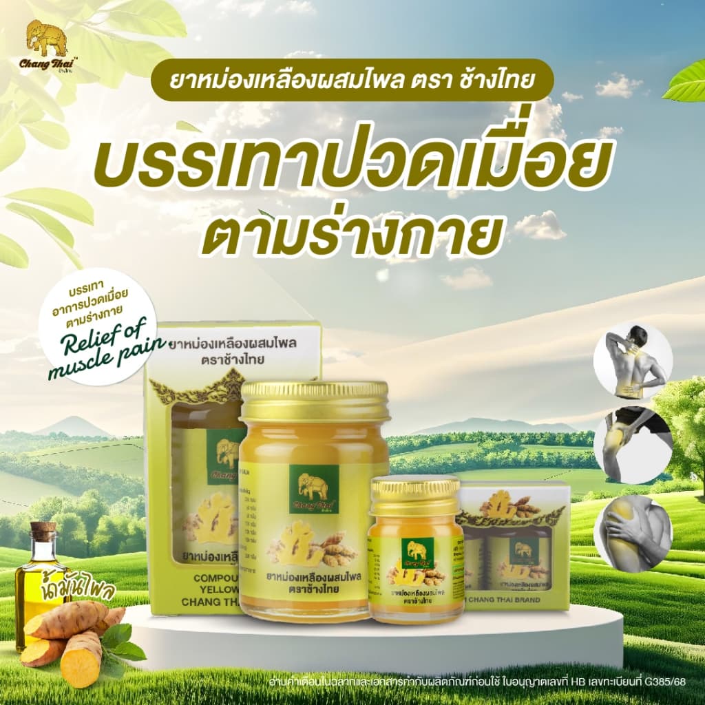 [บริษัทโดยตรง] ยาหม่องสีเหลืองผสมไพร ตราช้างไทย บรรเทาอาการปวดเมื่อยตามร่างกาย ฟกช้ำ เคล็ด ขัด ยอก น้ำมันนวด