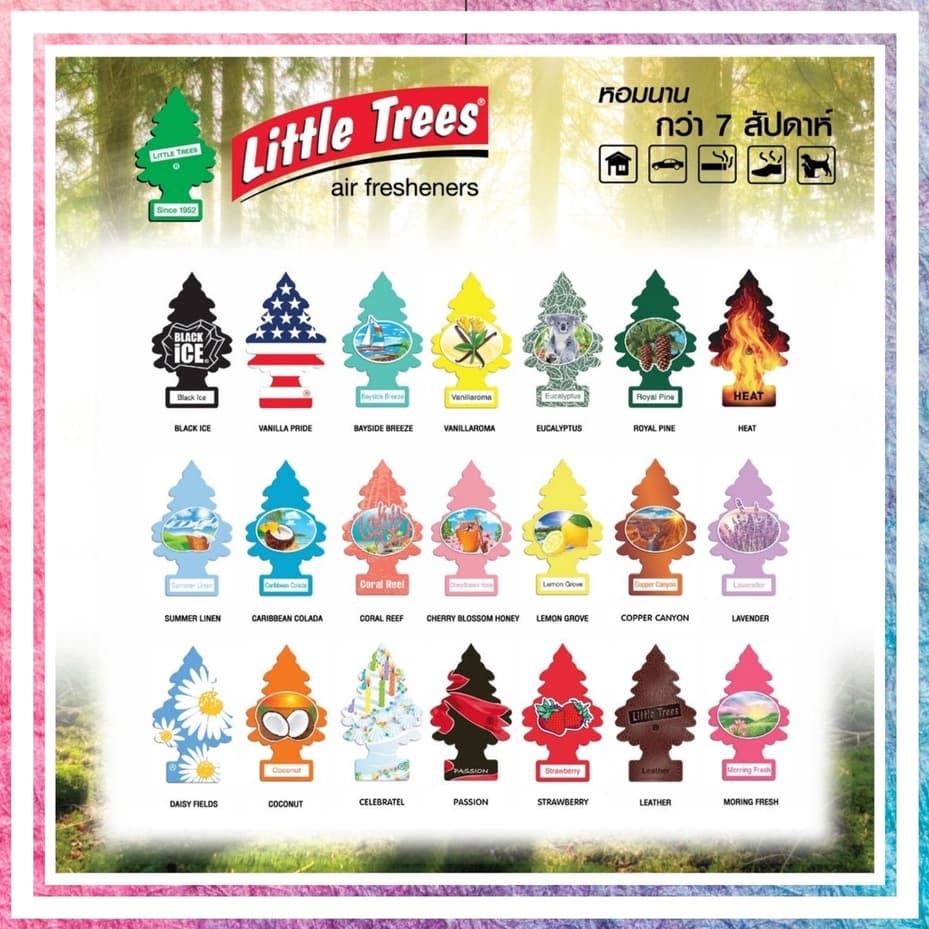 Little trees แผ่นน้ำหอมปรับอากาศ ต้นสน / รูปต้นไม้ Made in USA ของแท้ มีสติ๊กเกอร์ปะหลัง